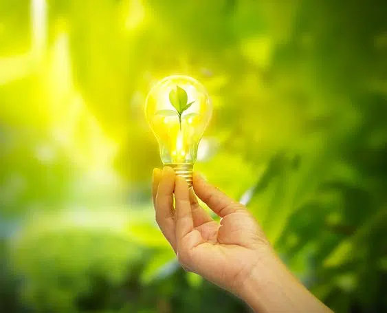 Sustainable Living and Green Living Tips 3 Sustainable Living and Green Living Tips