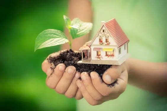 Sustainable Living and Green Living Tips 4 Sustainable Living and Green Living Tips