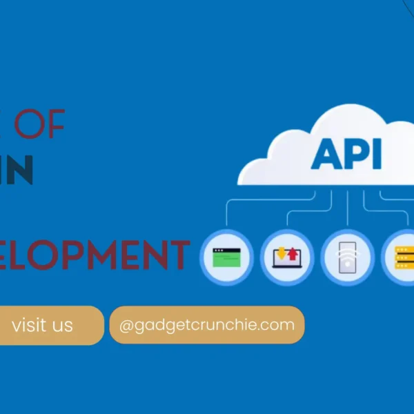 Role of APIs in web development