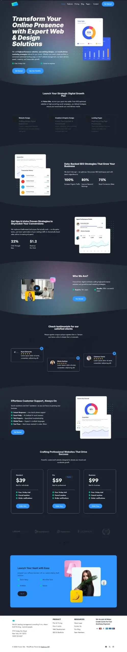 Portfolio | Websites by Gadget Crunchie 11 Project VizionSite
